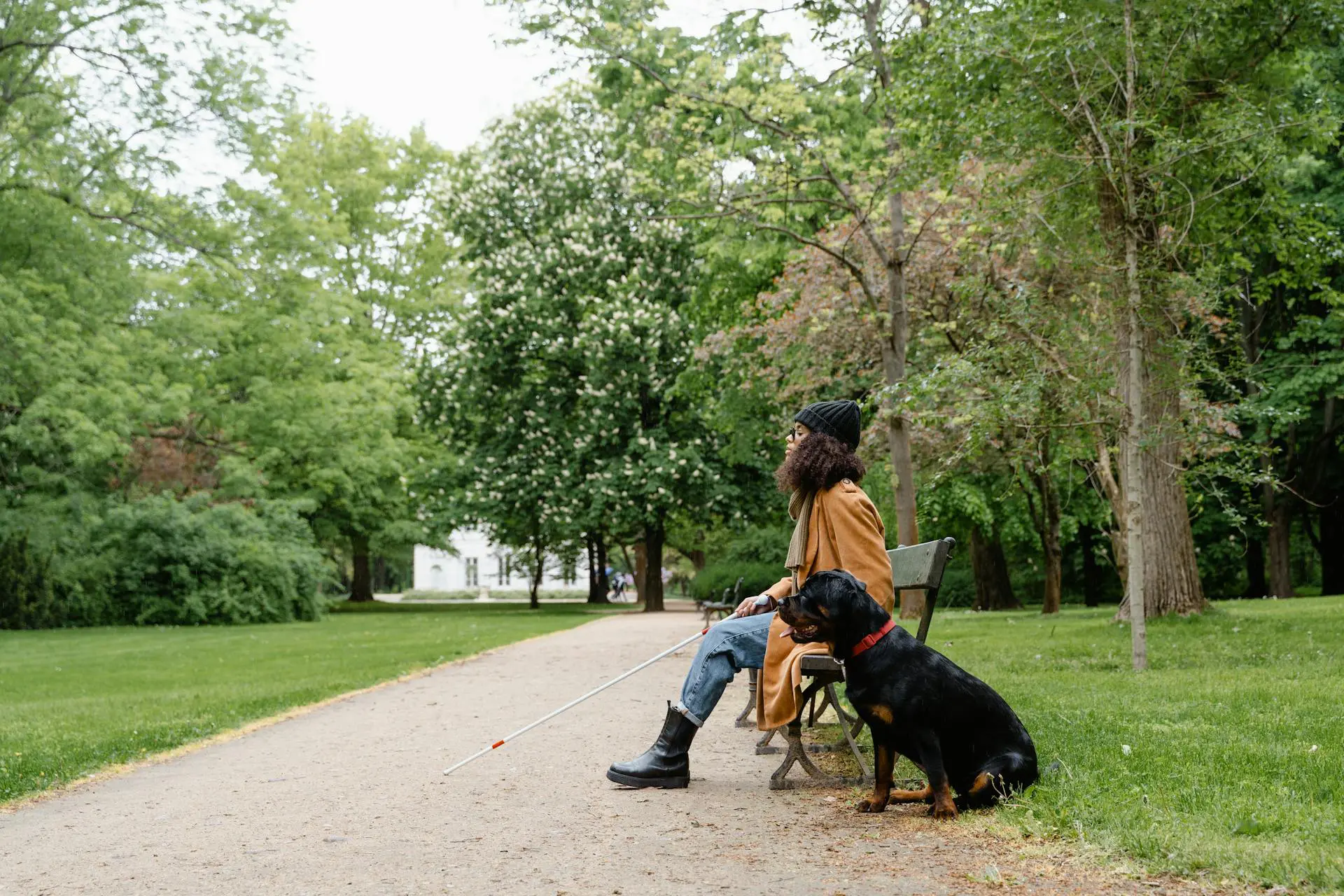 Read more about the article A Local’s Guide to Louisville Seasonal Allergies